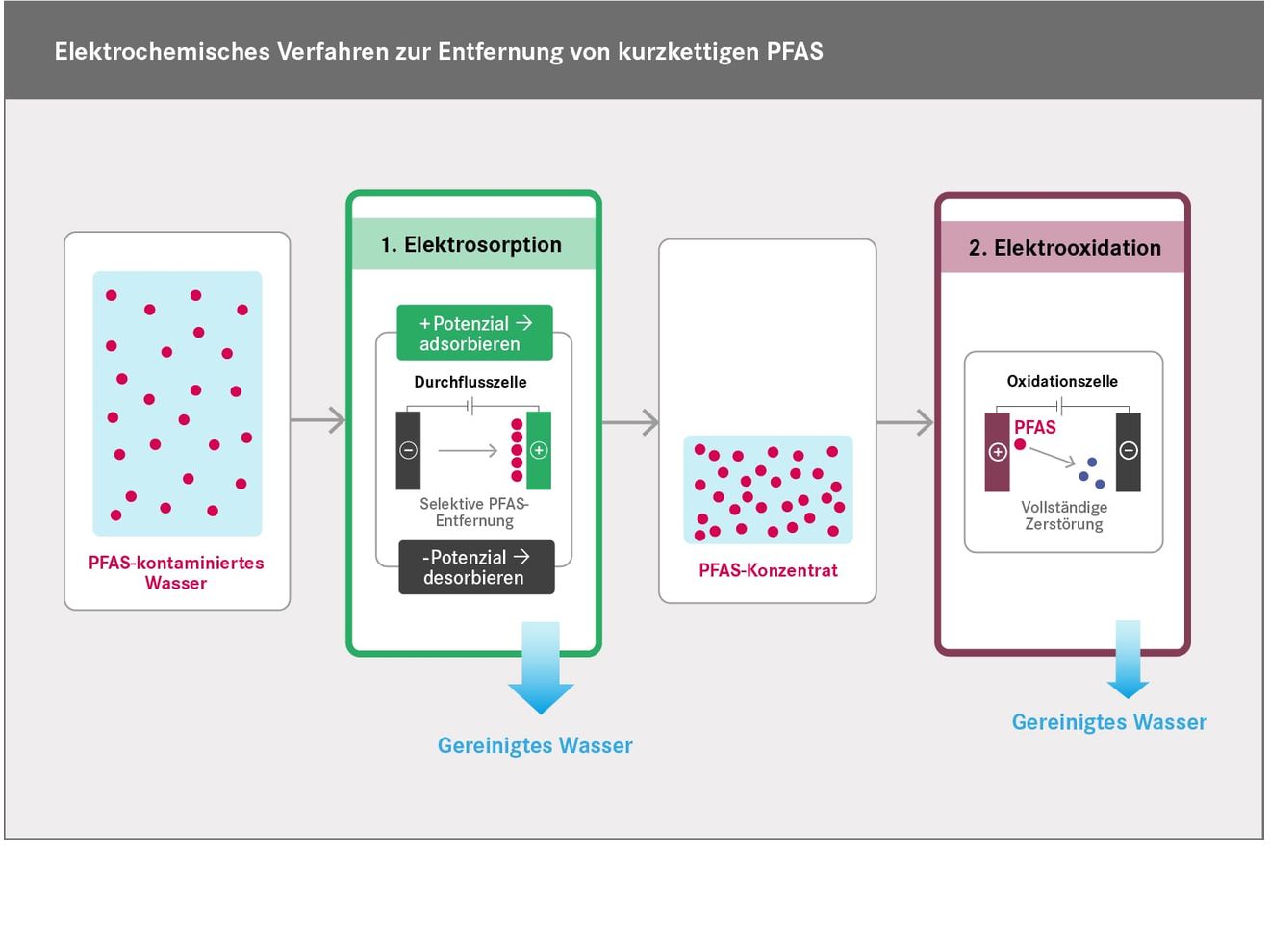Kurzkettige PFAS effizient zerstören: Verfahren zur Entfernung von Perfluorbutansäure aus Wasser Grafik: Im Verlauf des UFZ-Verfahrens werden die PFAS zuerst durch Elektrosorption abgetrennt und angereichert (Schritt 1) und danach durch Elektrooxidation zerstört (Schritt 2). Übrig bleiben vor allem CO2 und Fluorid.