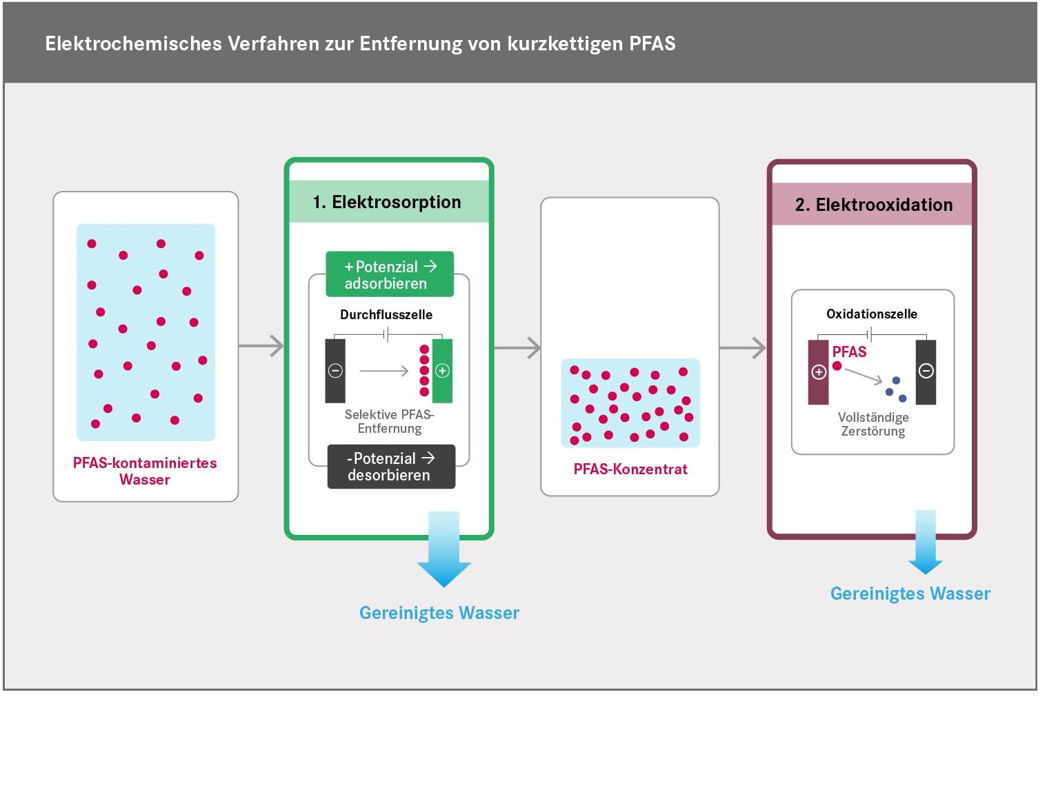 Kurzkettige PFAS effizient zerstören: Verfahren zur Entfernung von Perfluorbutansäure aus Wasser Grafik: Im Verlauf des UFZ-Verfahrens werden die PFAS zuerst durch Elektrosorption abgetrennt und angereichert (Schritt 1) und danach durch Elektrooxidation zerstört (Schritt 2). Übrig bleiben vor allem CO2 und Fluorid.