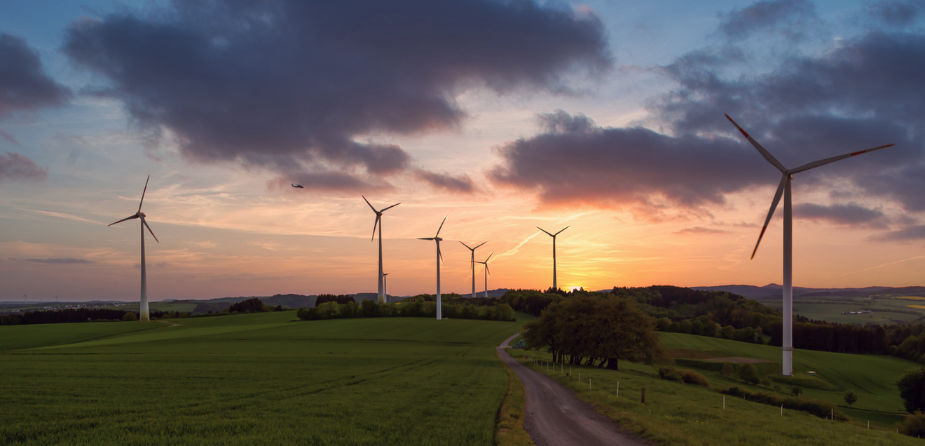 Erneuerbare Energien 2025: Entwicklungen im ersten Halbjahr Windräder zum Erzeugen erneuerbarer Energie auf einem Feld im Sonnenuntergang