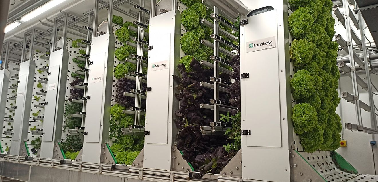 OrbiPlant® Technologie ermöglicht eine platzsparende Anbauweise Die förderbandbasierte OrbiPlant® Technologie ermöglicht eine platzsparende Anbauweise.