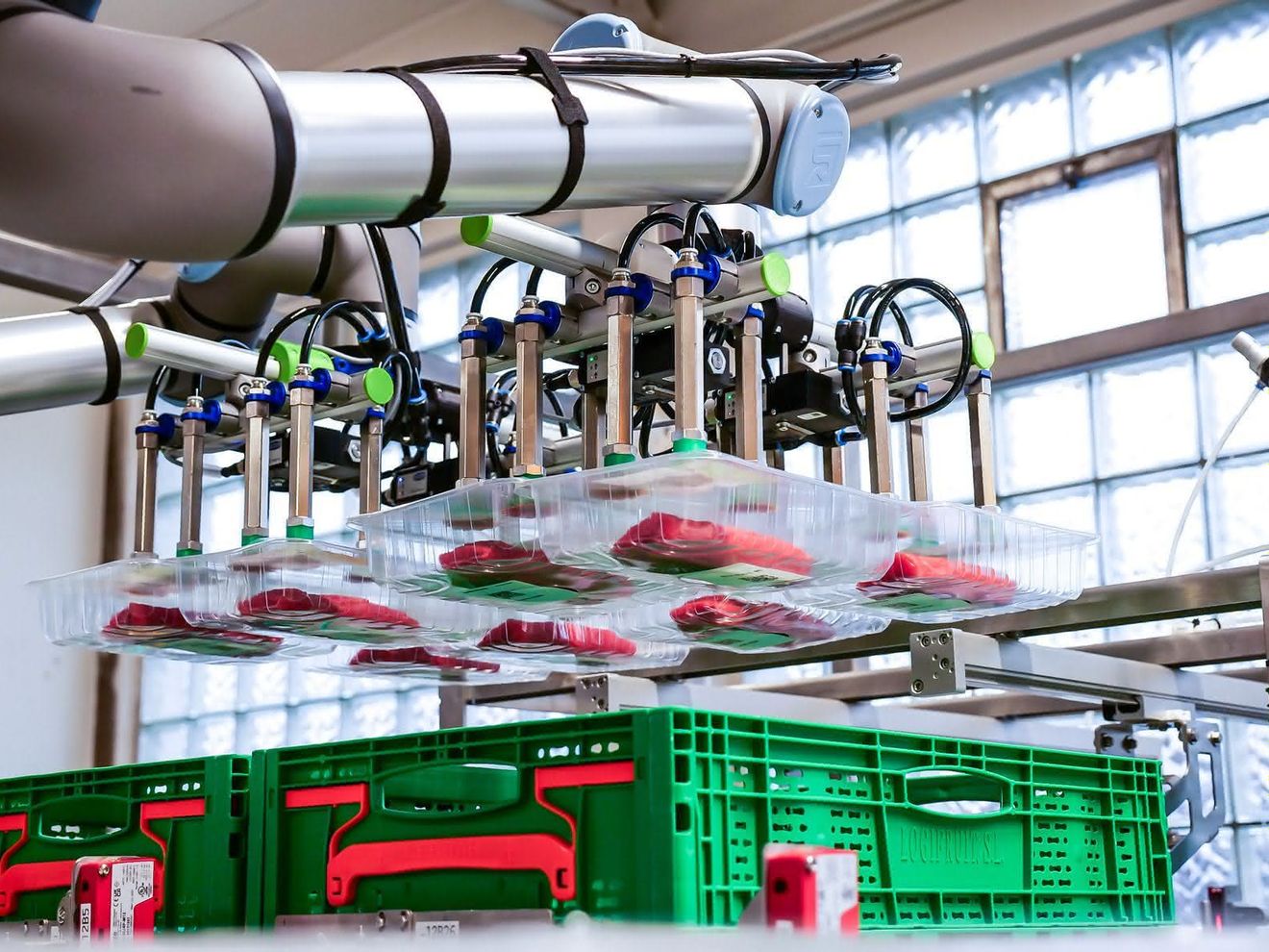 96 picks per minute: Vacuum technology for smart order picking