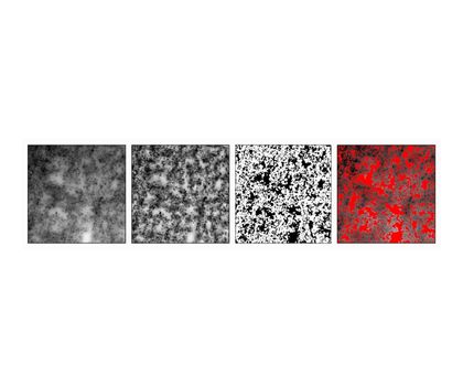 Fraunhofer IMWS entwickelt digitales Tool: Software unterstützt bei Prozess- und Materialoptimierung für Reifen Fraunhofer IMWS entwickelt digitales Tool: Software unterstützt bei Prozess- und Materialoptimierung für Reifen