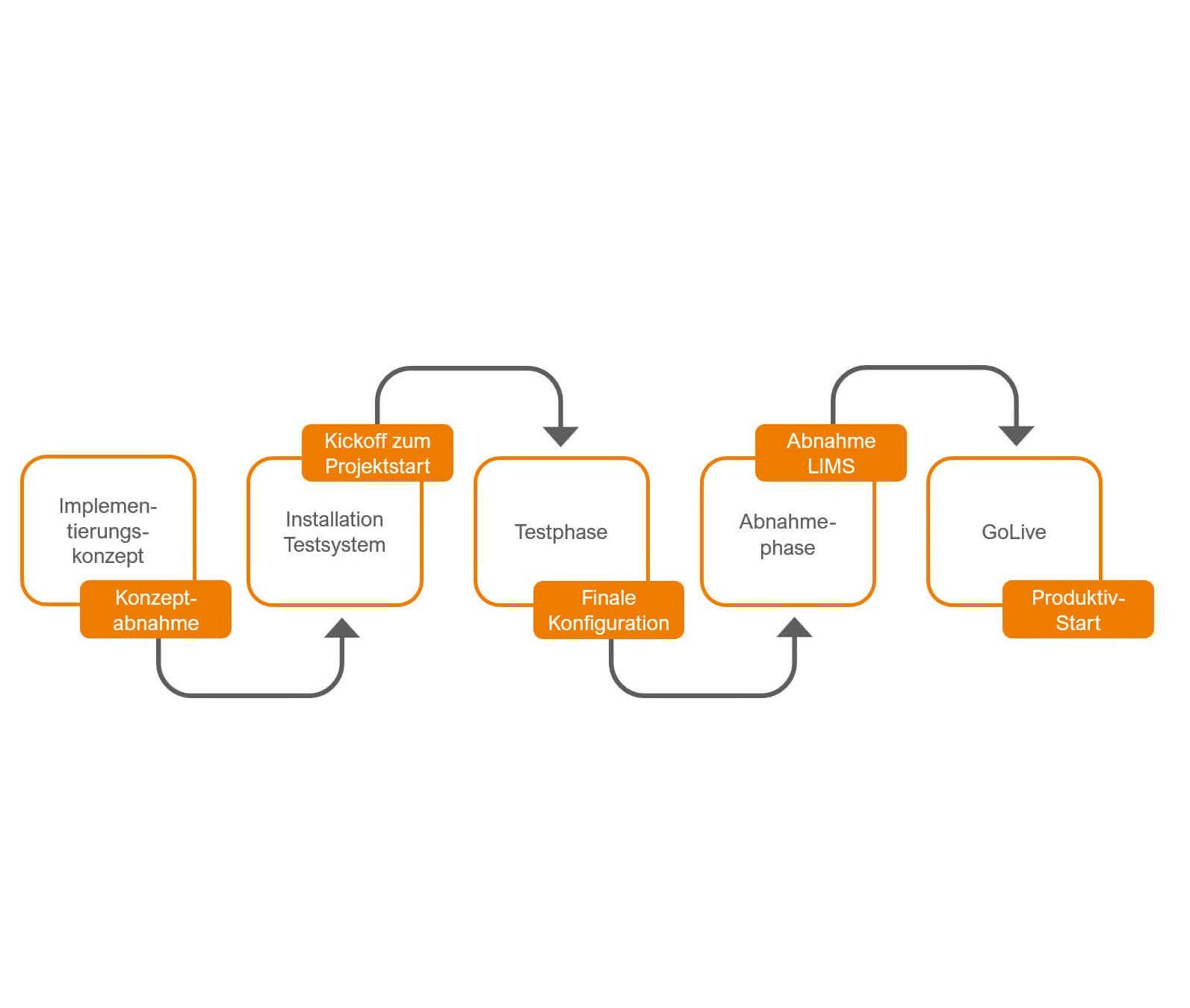 Grafik zur Vorgehensweise zur Implementierung eines LIMS