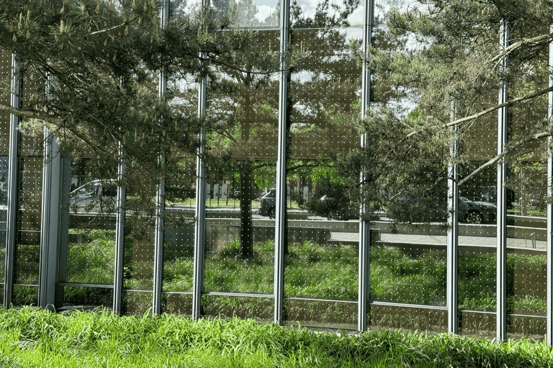 Hochwirksamer Vogelschutz an der Glasfassade des Axel-Springer-Hochhauses
