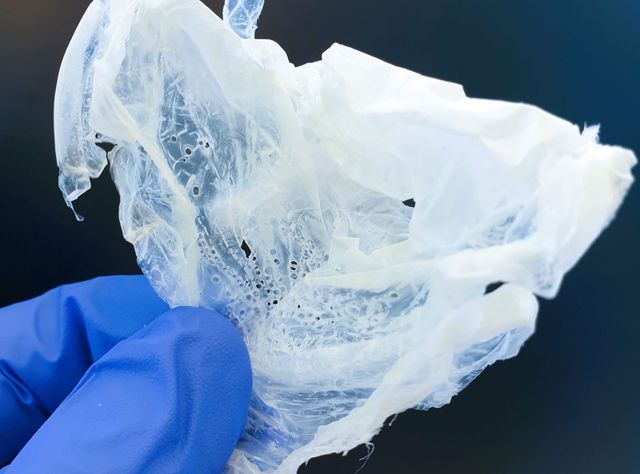 Kunststoff Polyhydroxyalkanoat (PHA), produziert aus organischen Säuren Kunststoff Polyhydroxyalkanoat (PHA), produziert aus organischen Säuren