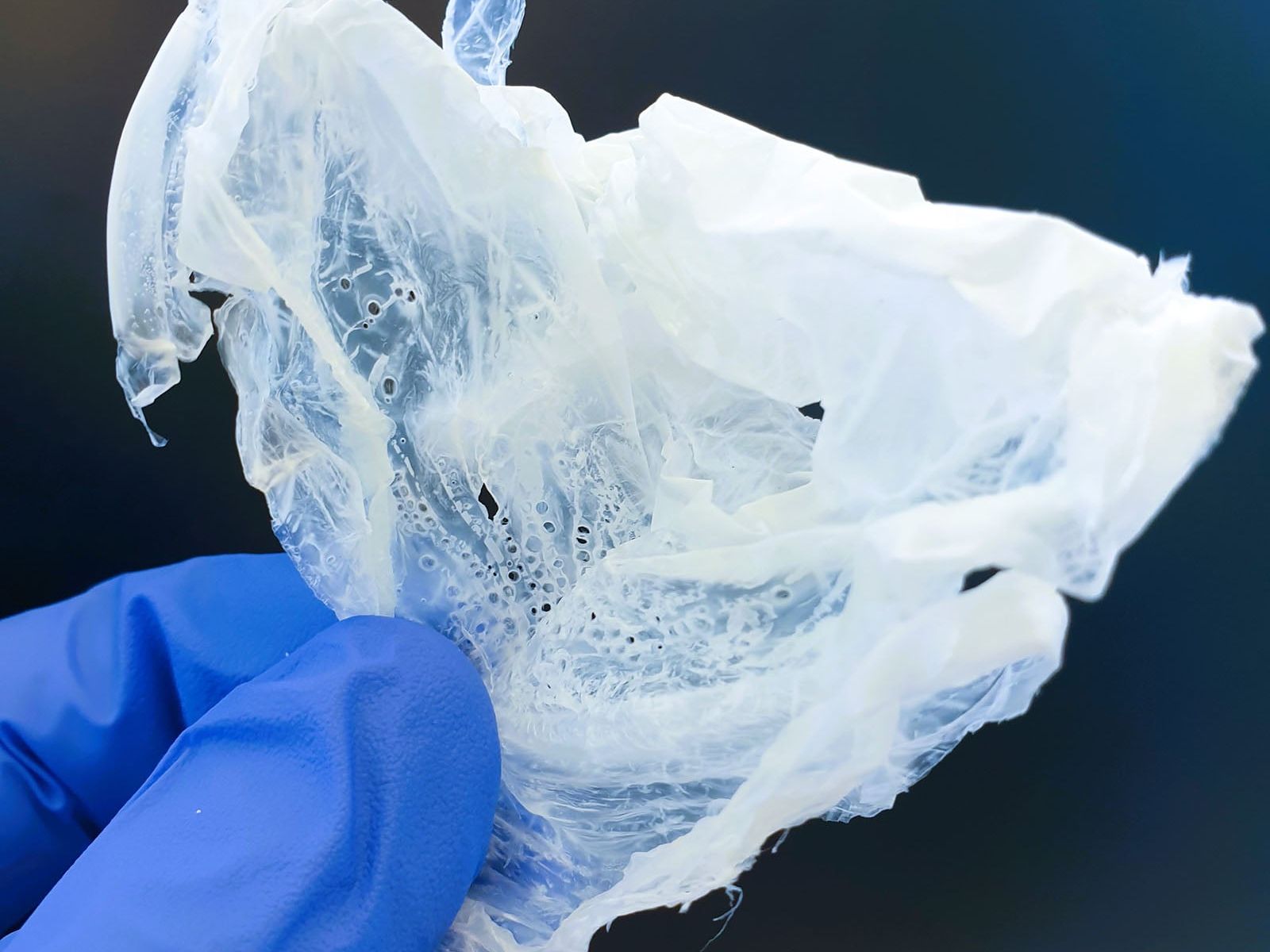 Kunststoff Polyhydroxyalkanoat (PHA), produziert aus organischen Säuren Kunststoff Polyhydroxyalkanoat (PHA), produziert aus organischen Säuren