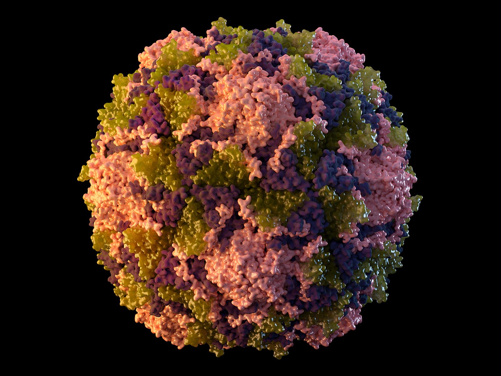 Poliovirus im Abwasser entdeckt unzureichender Impfschutz gegen Kinderlähmung Illustration aus dem Jahr 2014 zeigt ein Poliovirus-Partikel