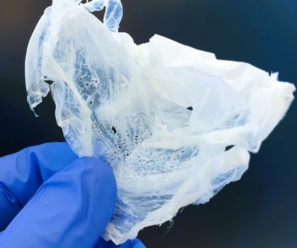Kunststoff Polyhydroxyalkanoat (PHA), produziert aus organischen Säuren Kunststoff Polyhydroxyalkanoat (PHA), produziert aus organischen Säuren