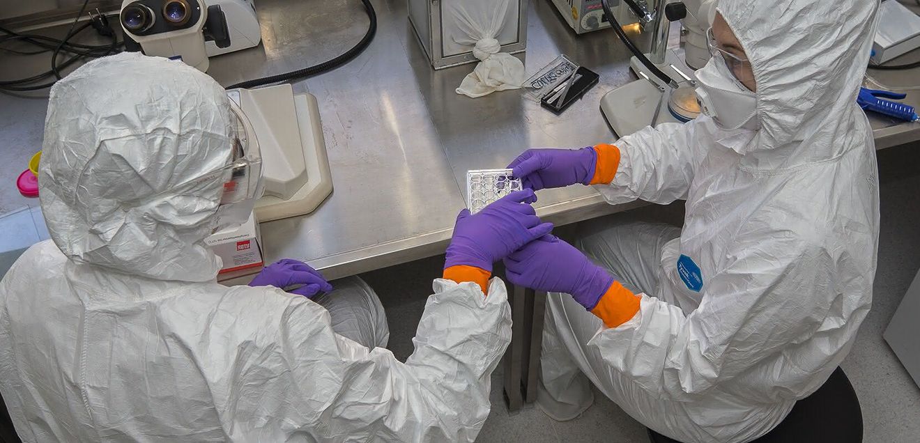 Zwei Mitarbeitende im Labor der Biologischen Sicherheitsstufe 3 Zwei Mitarbeitende im Labor der Biologischen Sicherheitsstufe 3