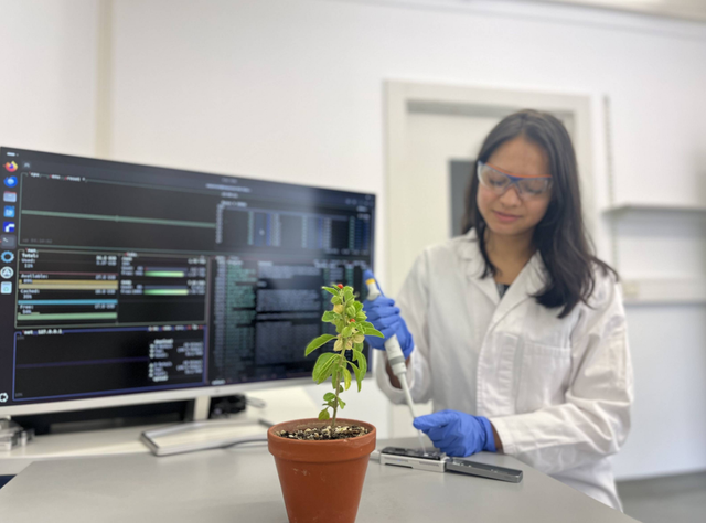 Nancy Choudhary, Institut für Zelluläre und Molekulare Botanik an der Universität Bonn, bei der Durchführung der Genomsequenzierung der Pflanze Withania somnifera.