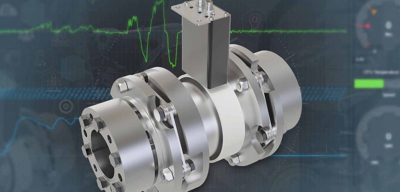 Torque-measuring shaft coupling Roba-drive-checker