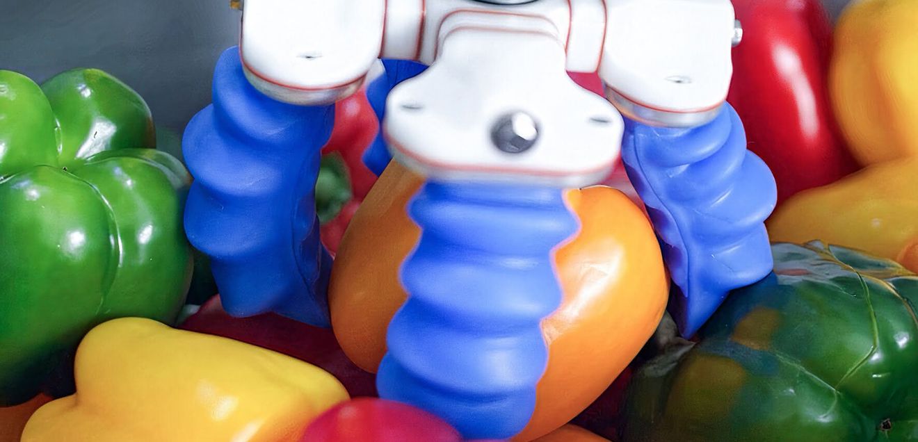 Lebensmittel-Handling: Schmalz übernimmt Fingergreifer von Soft Robotics