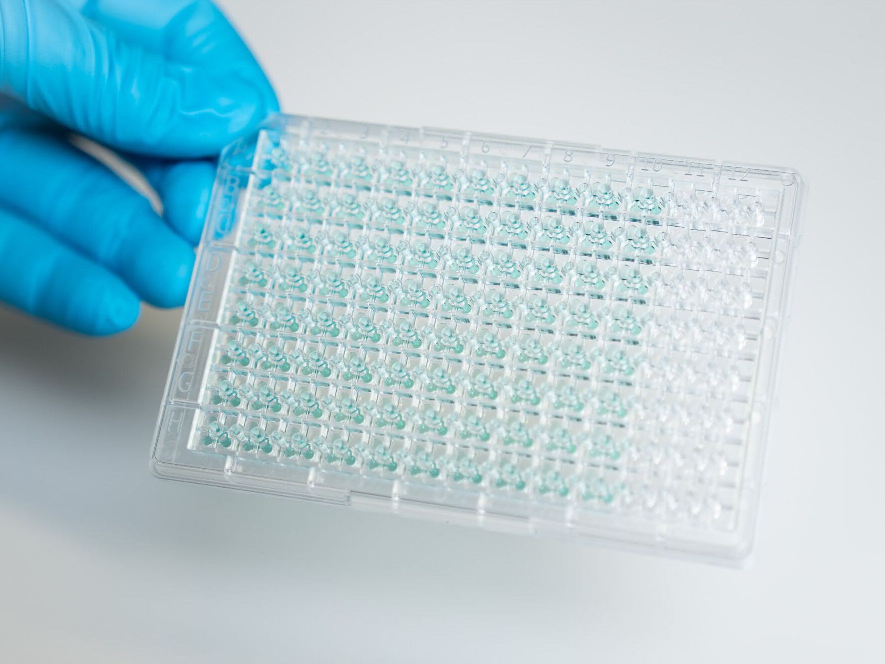 UV/Vis-Analyseplatte SpecPlate