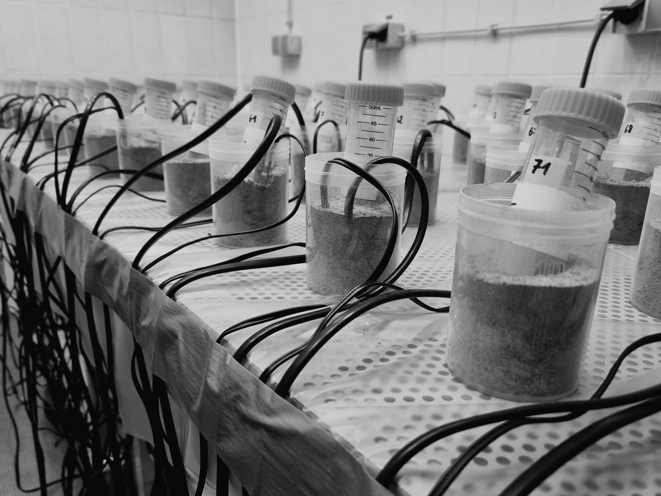 Studie zum Globalen Wandel: Warum auch scheinbar harmlose Einflüsse Böden schädigen können Experiment zur Erforschung kombinierter Stressoren des Globalen Wandels in einer Klimakammer der Freien Universität Berlin