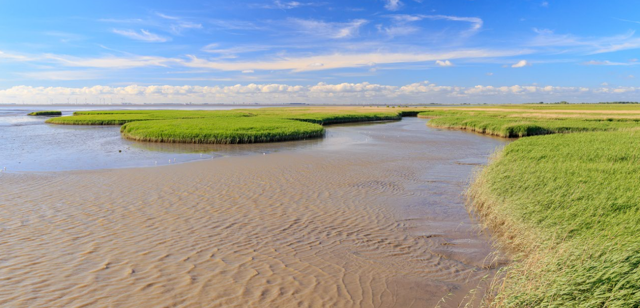 Blue Carbon: Schutz mariner Kohlenstoffspeicher für Klima und Biodiversität Blick über den Dollart nach Emden - Nationalpark Niedersächsisches Wattenmeer
