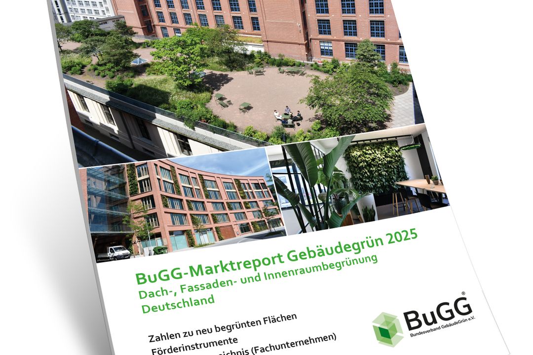 BuGG-Marktreport Gebäudegrün 2025“ BuGG-Marktreport Gebäudegrün 2025“