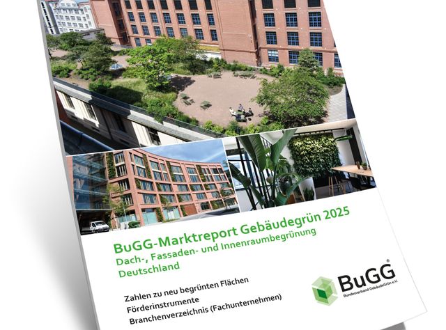 BuGG-Marktreport Gebäudegrün 2025“