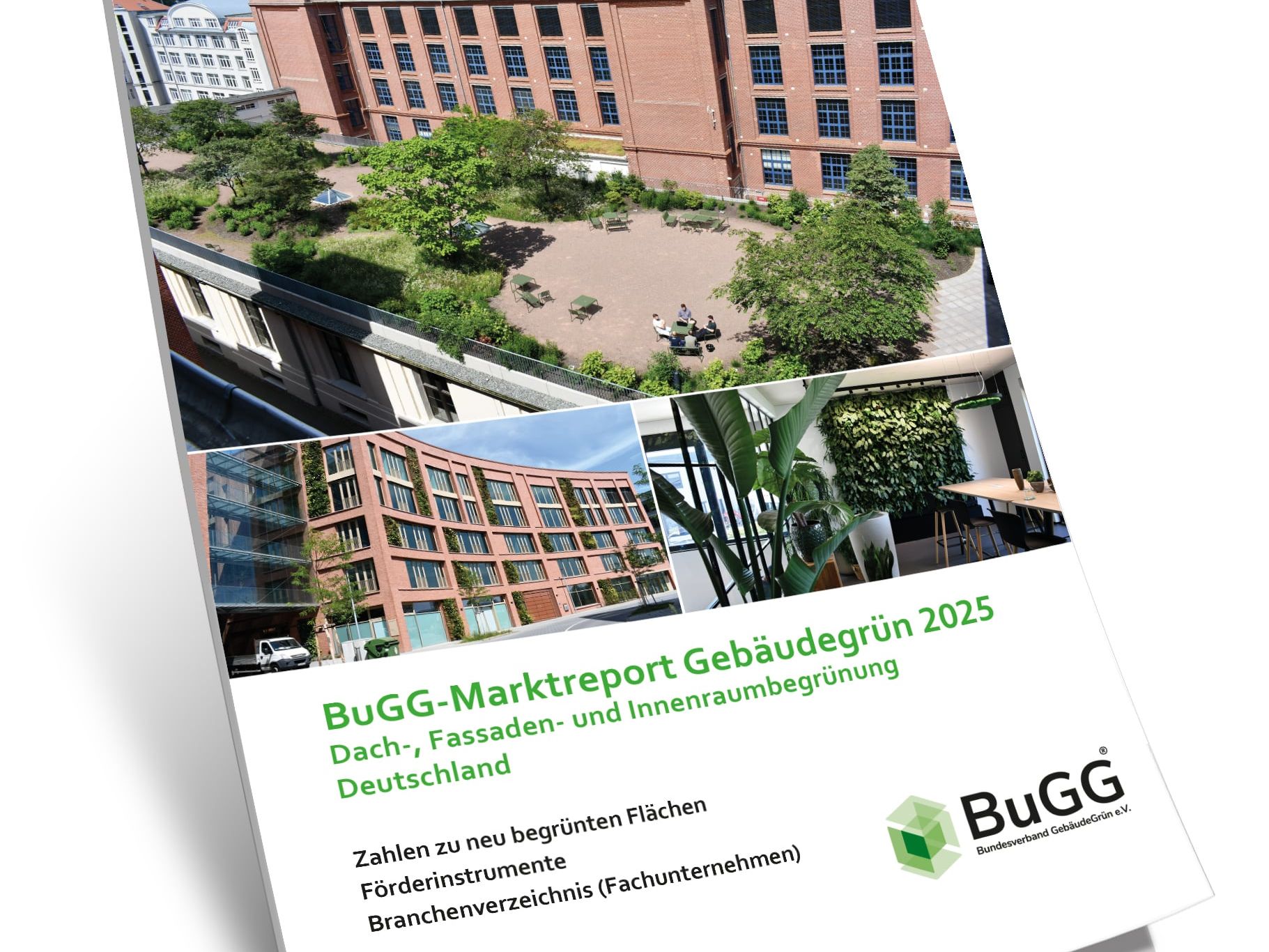 BuGG-Marktreport Gebäudegrün 2025“ BuGG-Marktreport Gebäudegrün 2025“