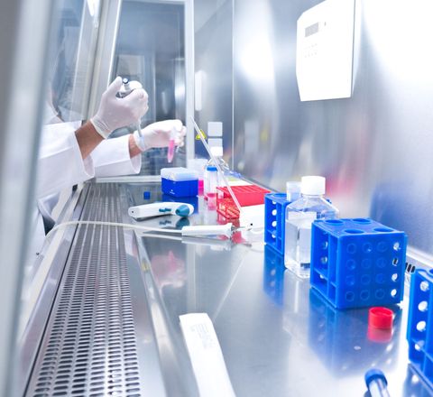 Pipettierarbeiten an einer Sicherheitswerkbank Pipettierarbeiten an einer Sicherheitswerkbank