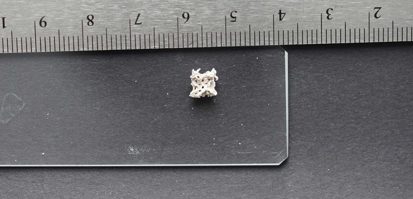 Mineralisiertes CO2 in einer lebenden Gitterstruktur. Mineralisiertes CO2 in einer lebenden Gitterstruktur.
