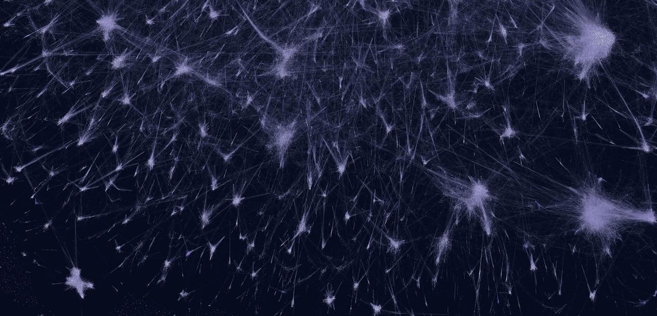 Bioinformatik: Künstliche Intelligenz für die Proteinforschung Interaktives Netzwerk dargestellt