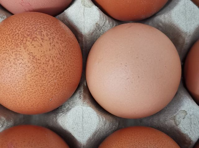Eier aus ökologischer Landwirtschaft Bio Eier