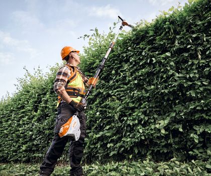 Leistungsstärkster Akku-Heckenschneider im Stihl Sortiment Hohe Hecken effizient vom Boden aus schneiden