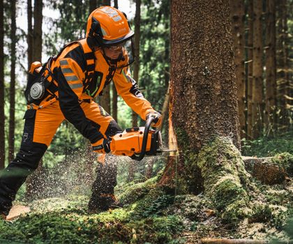 Stihl MS 300 C-M: Leistungsstarke Motorsäge für effiziente Forstarbeiten