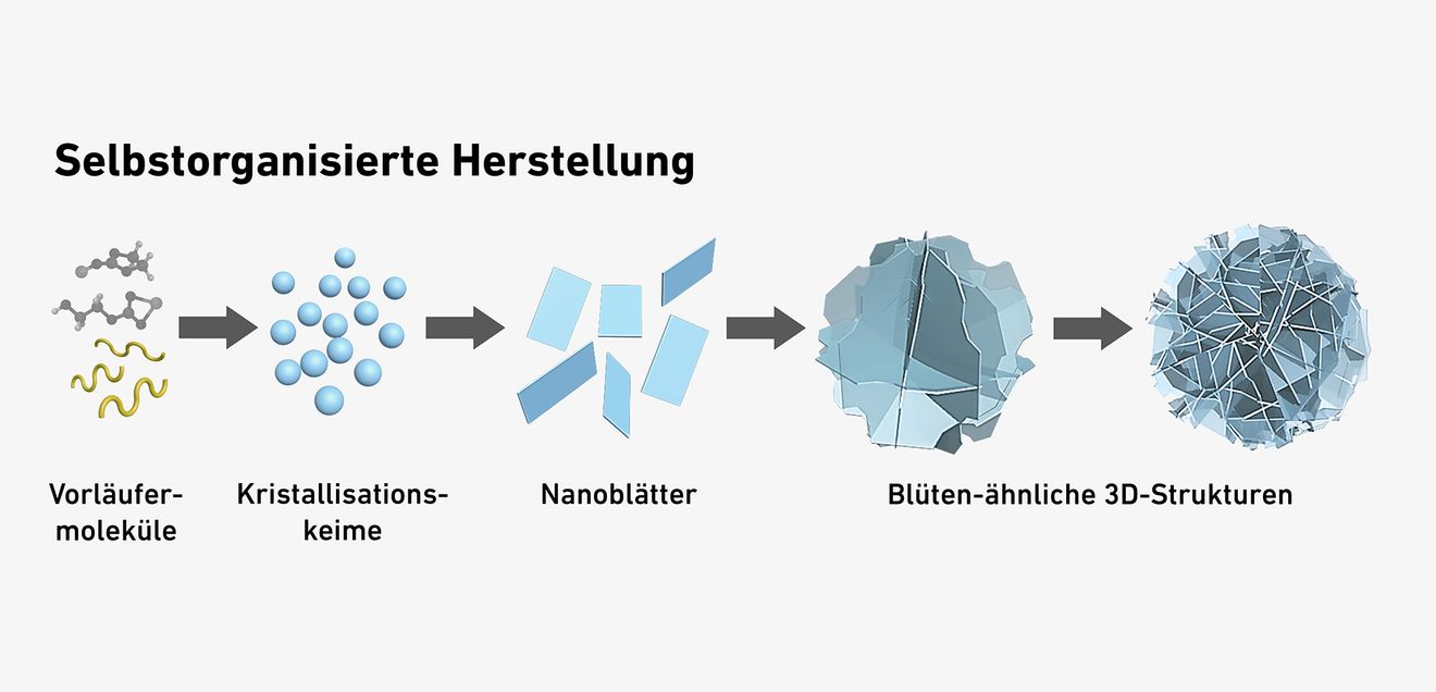 Die Teilchen ähneln winzigen Papierblumen oder Sandrosen und setzen sich selbst zusammen Grafik: Die Teilchen ähneln winzigen Papierblumen oder Sandrosen und setzen sich selbst zusammen