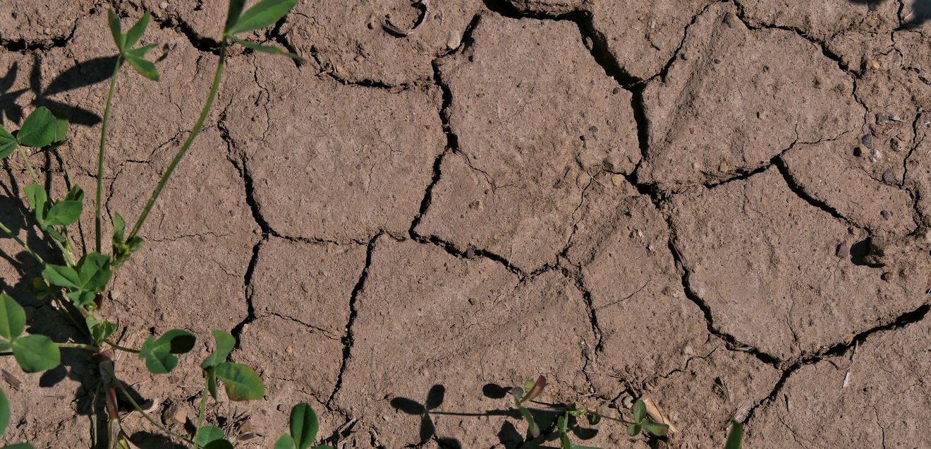 Trockenrisse im Boden bedrohen Wasserqualität
