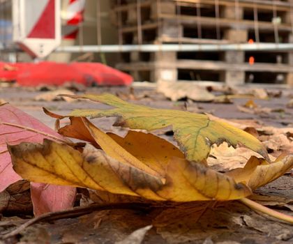 Herbststürme oder Nässe sowie gefallenes Laub erhöhen die Unfallgefahr auf Baustellen (Foto: BG Bau) Herbststürme oder Nässe sowie gefallenes Laub erhöhen die Unfallgefahr auf Baustellen (Foto: BG Bau)