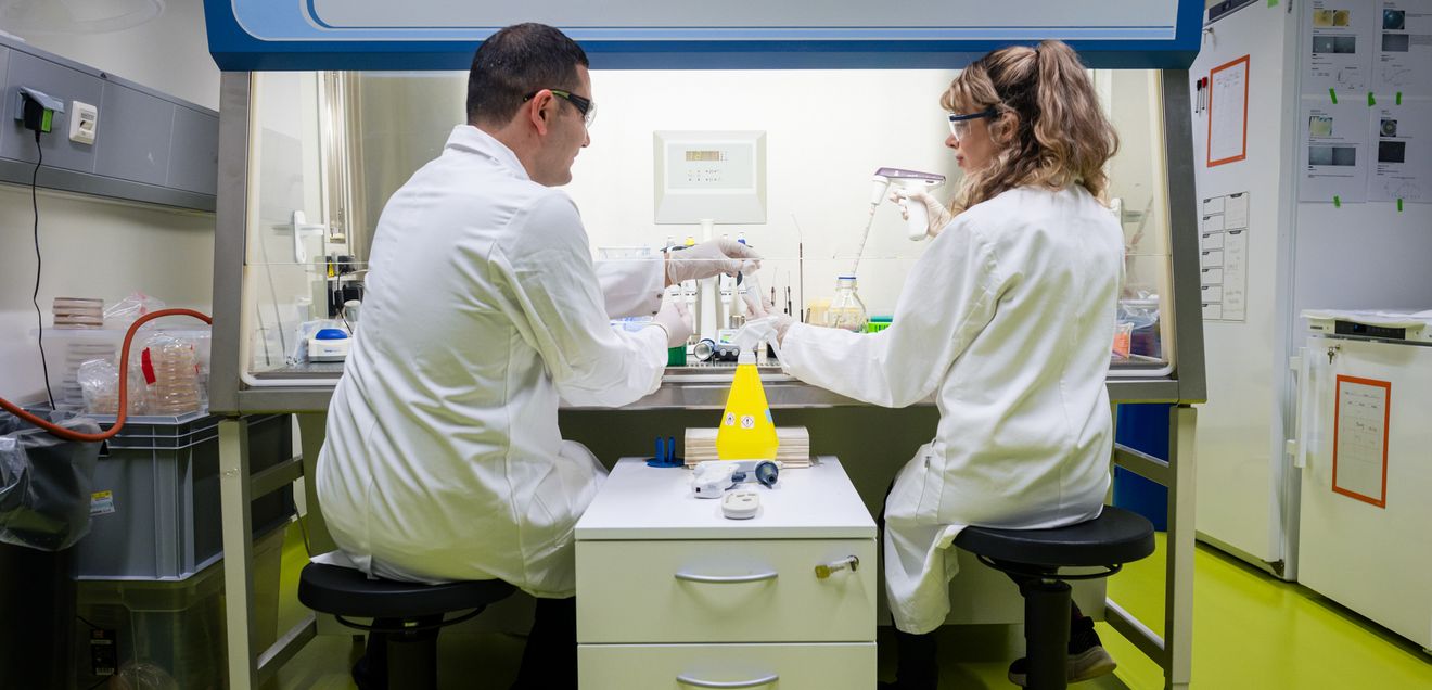 HIPS und Beiersdorf starten exklusive Mikrobiom-Forschung für gesunde Haut Zusammenarbeit in der Mikrobiom-Forschung: Das HIPS und die Beiersdorf AG sind eine langfristige und exklusive Partnerschaft eingegangen