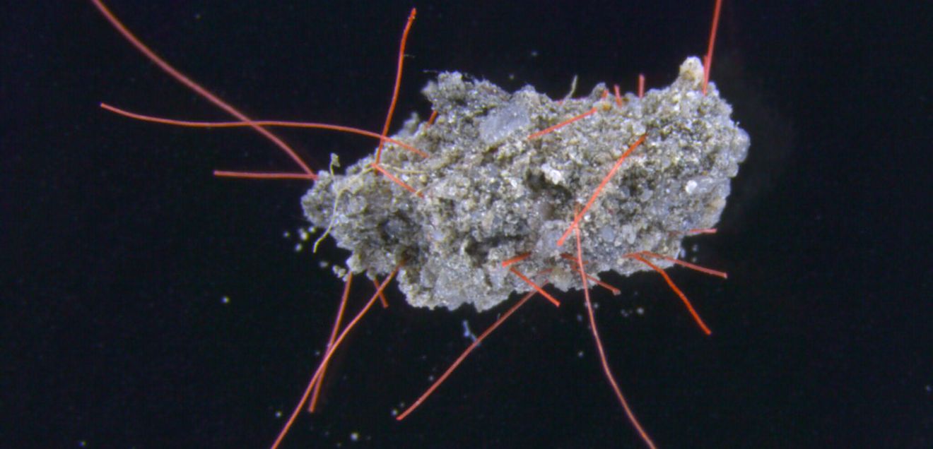 Bodenplastisphäre: Mikroorganismen und Mikroplastik in Böden Bodenaggregat mit Mikroplasik-Fasern