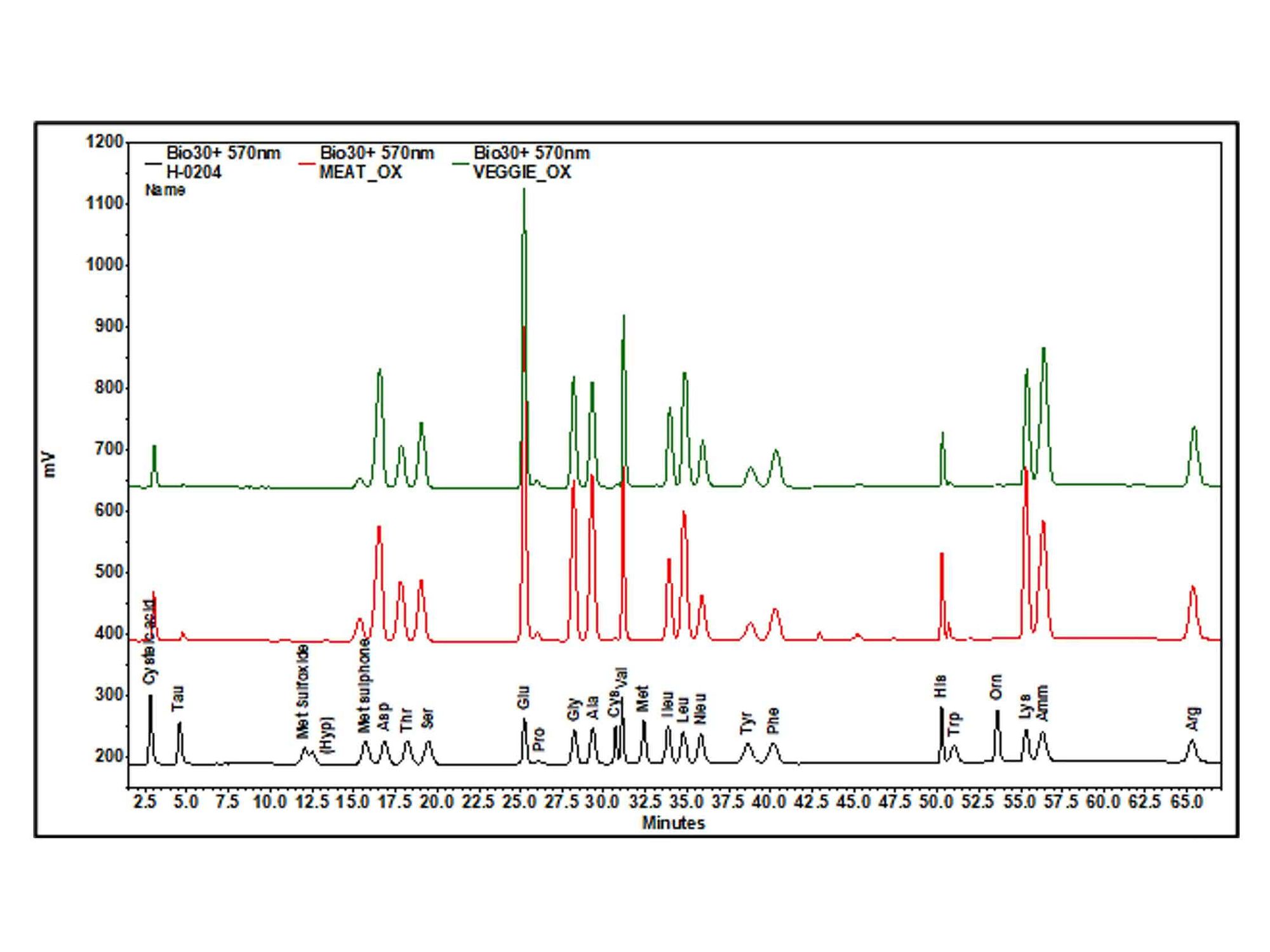 Aminosäureprofile von Burgerpattys aus Rindfleisch (rot) und pflanzlichem Fleischersatz (grün) im Vergleich zum Kalibrierstandard (schwarz), bestimmt mit dem Aminosäurenanalysator Biochrom B30+ mit Nachsäulenderivatisierung (570 nm).