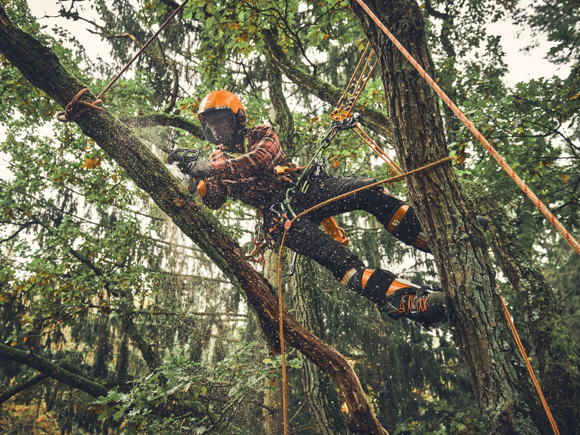 Ein Arbeiter sägt mit einer Stihl MSA 190 T in einem Baum