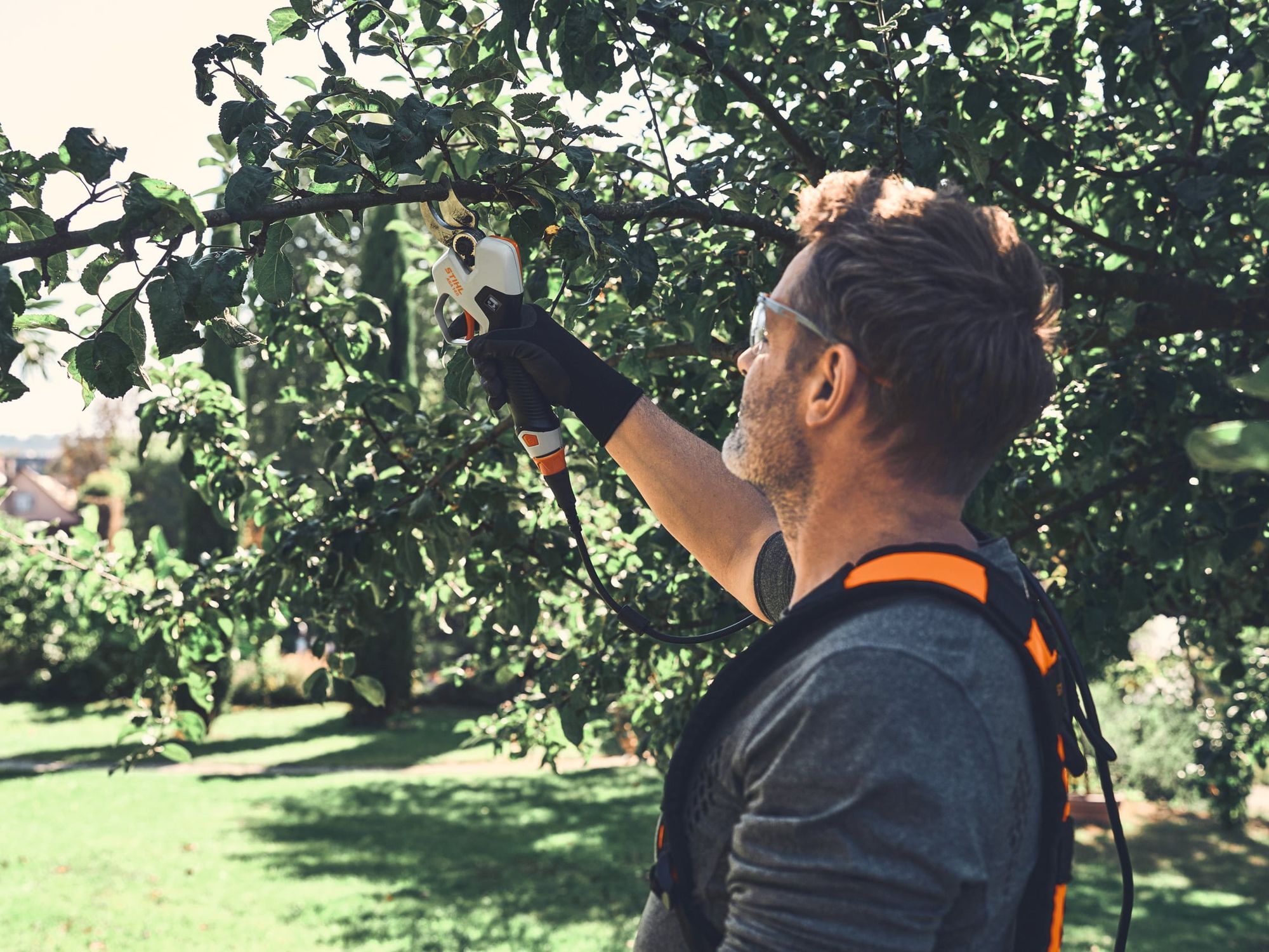 Die Akku-Astschere STIHL ASA 140 im Profi-Einsatz Die Akku-Astschere STIHL ASA 140 im Profi-Einsatz