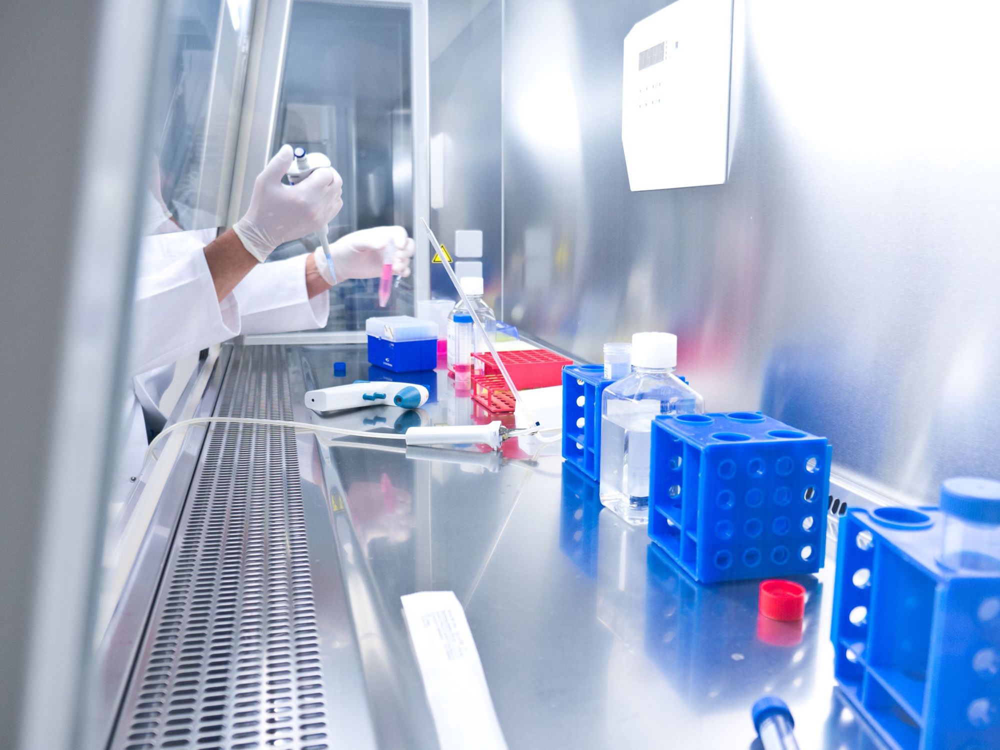 Pipettierarbeiten an einer Sicherheitswerkbank