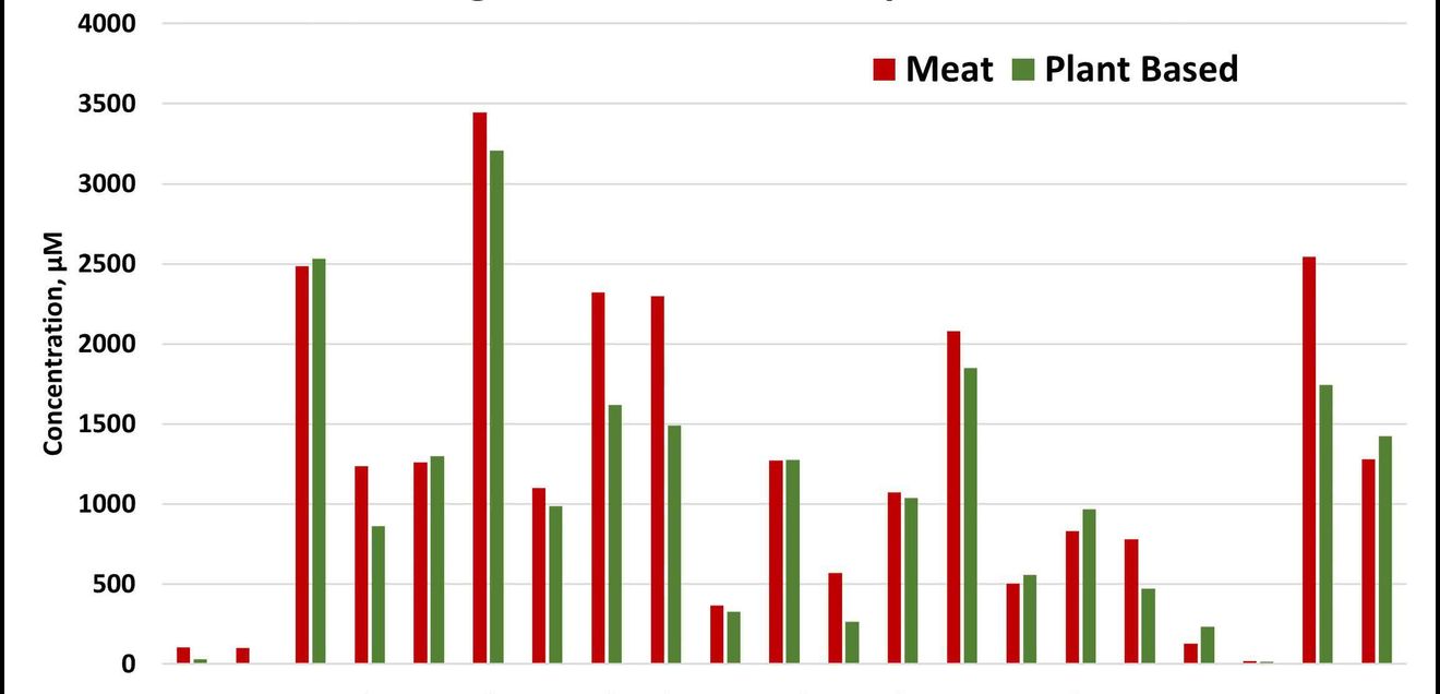 Proteingehalt von Burgerpattys aus Rindfleisch und pflanzlichem Fleischersatz Aminosäurekonzentrationen von Burgerpattys aus Rindfleisch und pflanzlichem Fleischersatz (in μM), bestimmt mit dem Aminosäurenanalysator Biochrom B30+ mit Nachsäulenderivatisierung (570 nm).