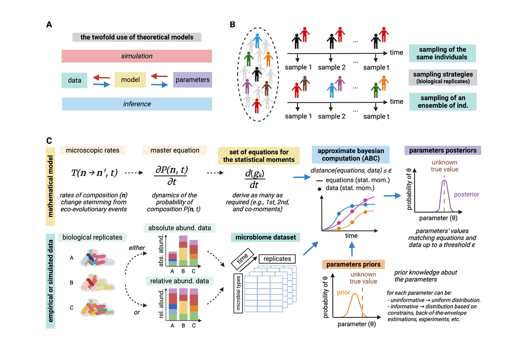 Schemazeichnung Parameterinferenz-Workflow und Eigenschaften mikrobieller Daten.