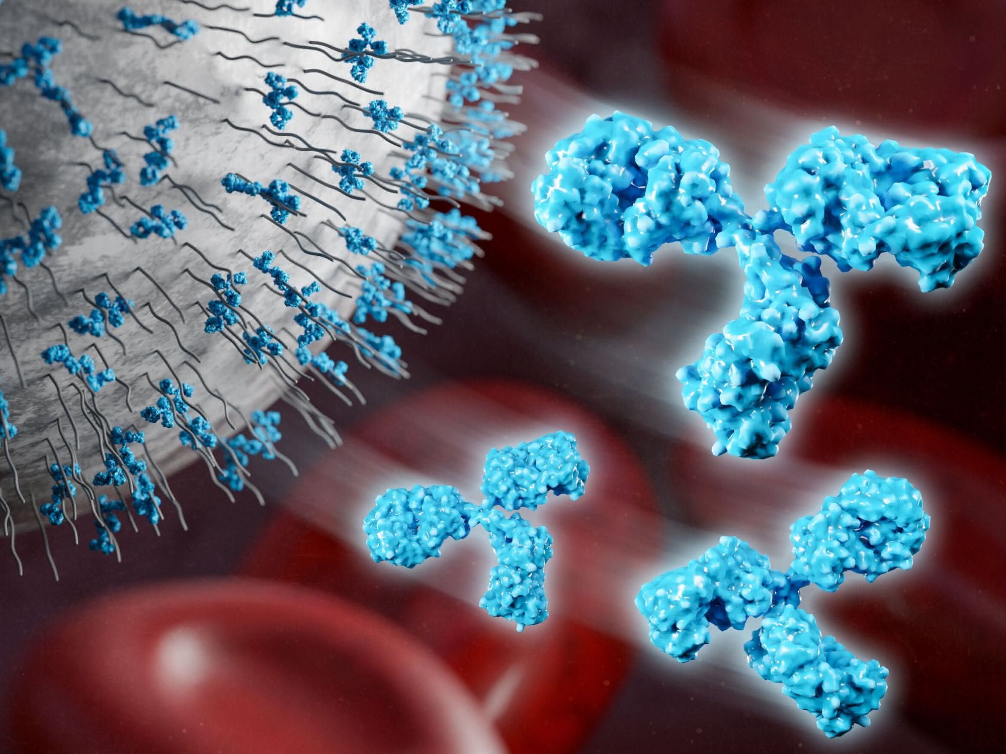 PEG in der Medizin: Antikörper gegen Polyethylenglykol in Blutproben untersucht PEG in der Medizin: Antikörper gegen Polyethylenglykol in Blutproben untersucht