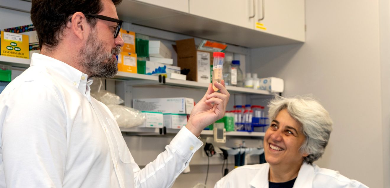 Prof. Dr. Argyris Papantonis und Prof. Dr. Francesca Odoardi bei der Arbeit im Labor. Prof. Dr. Argyris Papantonis und Prof. Dr. Francesca Odoardi bei der Arbeit im Labor.