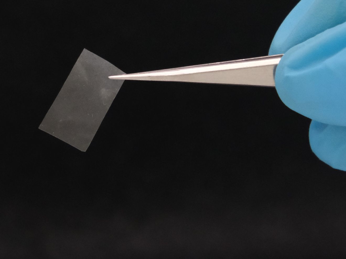 Materialforscher entwickeln lebenden Verbundstoff aus Pilzen für Folien und Emulsionen Die lebende Folie ist nahezu transparent und besitzt eine gute Reissfestigkeit. Sie könnte etwa als Bio-Kunststoff zum Einsatz kommen.