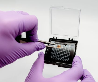 Sensor namens "EMILIE"
