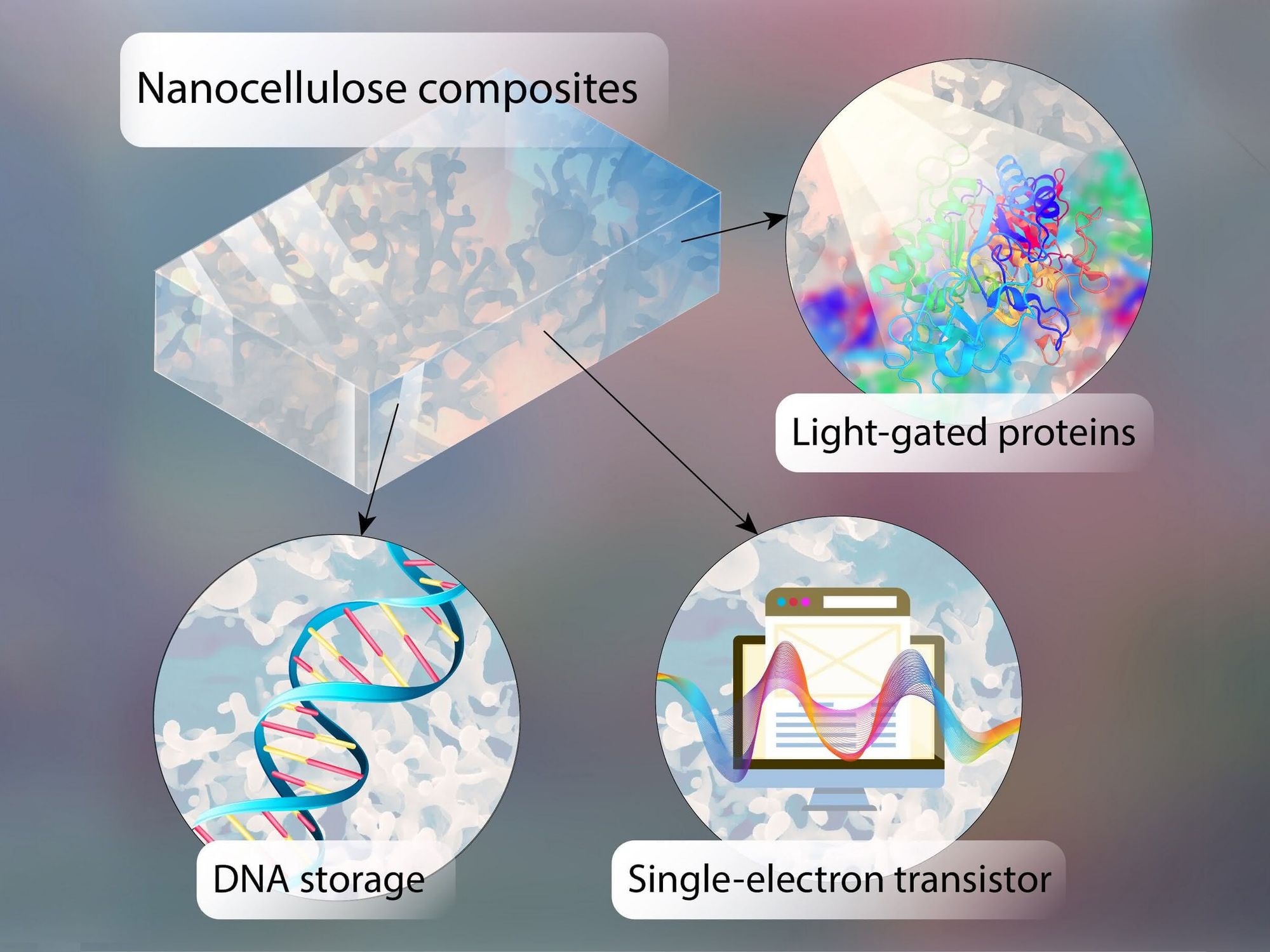 Molekularbiologie mit Elektronik kombinieren: DNA-Chips als Speichermedien der Zukunft? Grafik