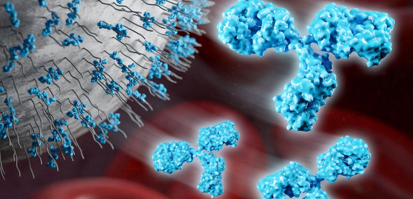 PEG in der Medizin: Antikörper gegen Polyethylenglykol in Blutproben untersucht PEG in der Medizin: Antikörper gegen Polyethylenglykol in Blutproben untersucht