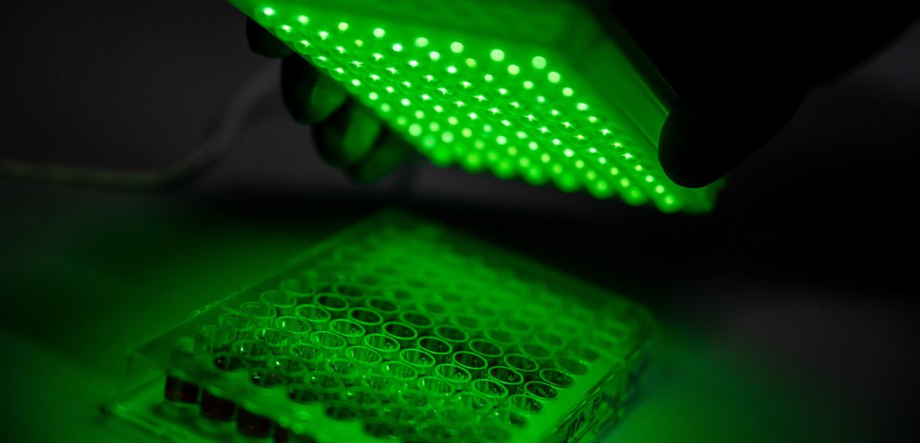 Biophysikalische Chemie: Bakterien und Viren mit leuchtenden Nanoröhren nachweisen Biophysikalische Chemie: Bakterien und Viren mit leuchtenden Nanoröhren nachweisen