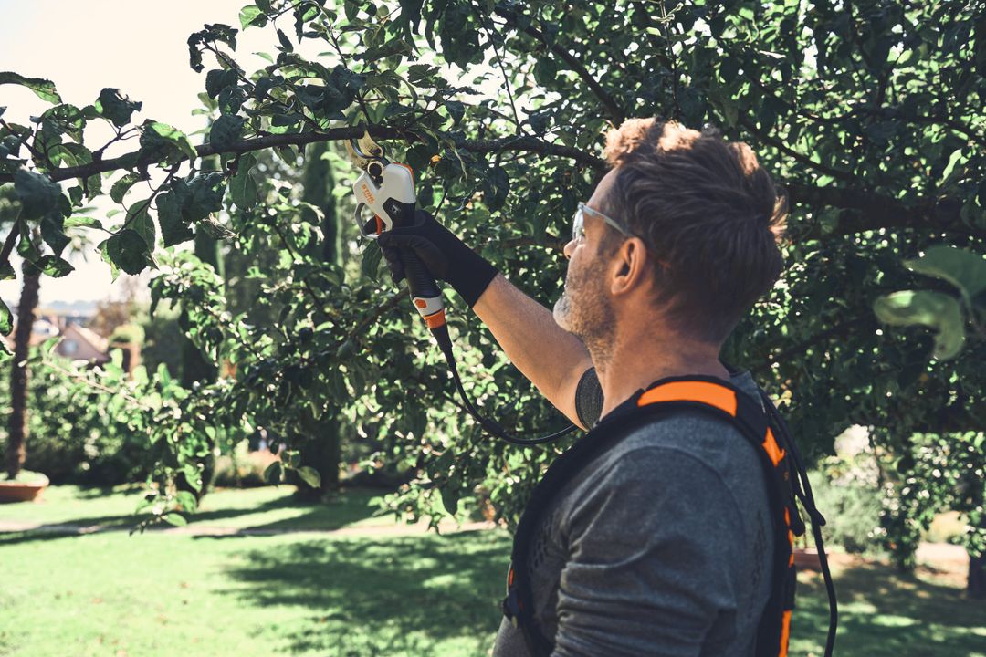 Die Akku-Astschere STIHL ASA 140 im Profi-Einsatz Die Akku-Astschere STIHL ASA 140 im Profi-Einsatz