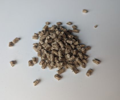 Chemovator investiert in Heartland: Start-up verstärkt Kunststoffe durch natürliche Fasern