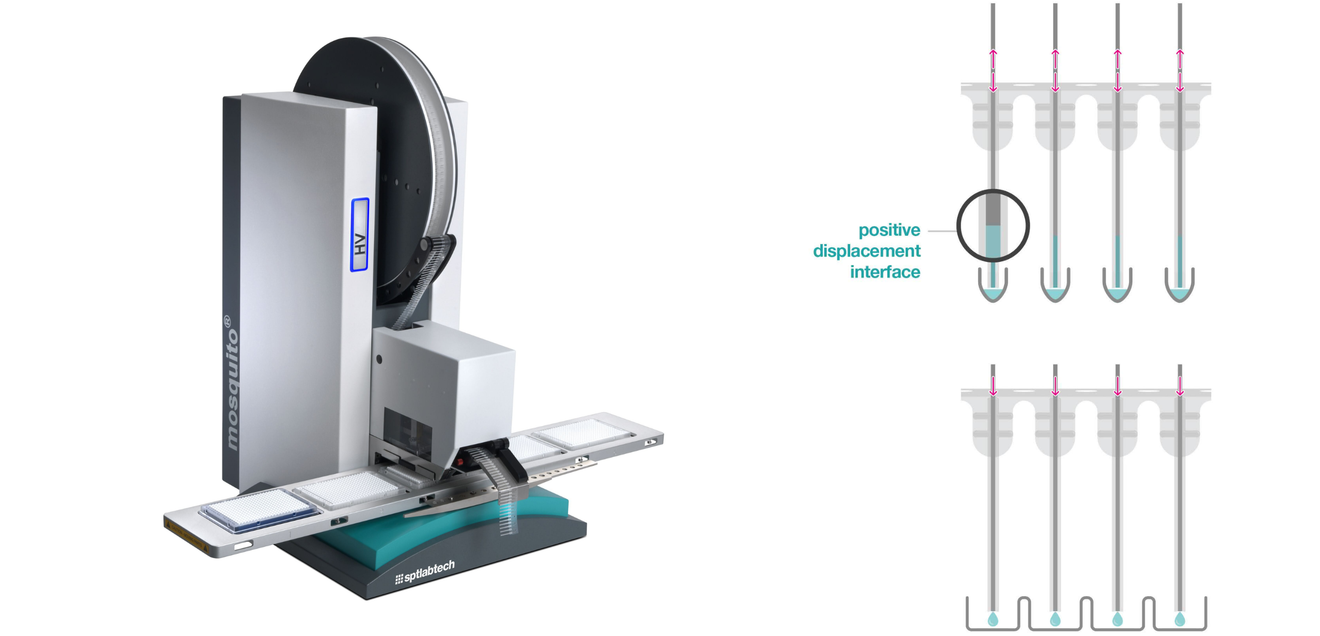 Das Gerät „mosquito® HV genomics“ mit fünf Deckpositionen. Das Gerät „mosquito® HV genomics“ mit fünf Deckpositionen. Rechts: Schematische Darstellung von Aspiration und Dispensierung nach dem Direktverdrängerprinzip mit diesem Gerät.