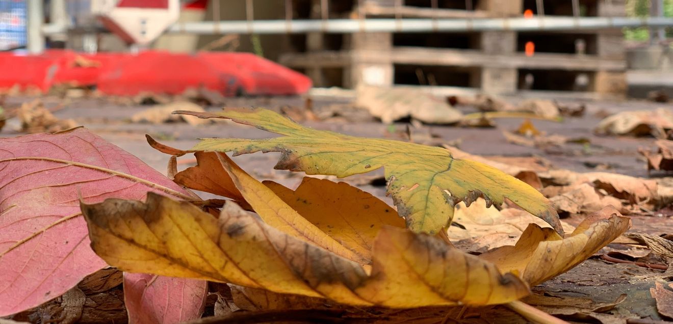 Herbststürme oder Nässe sowie gefallenes Laub erhöhen die Unfallgefahr auf Baustellen (Foto: BG Bau) Herbststürme oder Nässe sowie gefallenes Laub erhöhen die Unfallgefahr auf Baustellen (Foto: BG Bau)